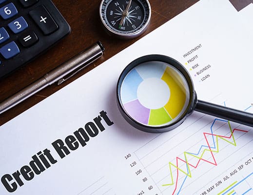 COMPANY VETTING AND CREDIT REPORTS